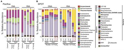 Characterizing Chemoautotrophy and Heterotrophy in Marine Archaea and Bacteria With Single-Cell Multi-isotope NanoSIP